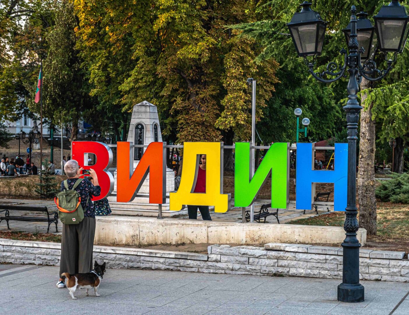 Видин