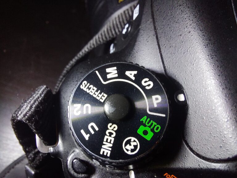 Режим Професионален Автоматичен (P) на Nikon: Гъвкавост и Контрол за Напреднали Фотографи